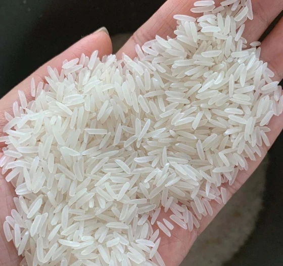 Wholesale Long Grain Fragrant Rice Organic ST 24 Rice Vietnam Best Supplier