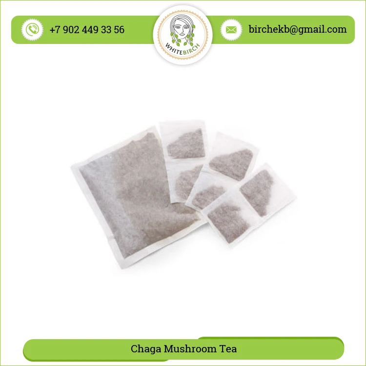 Natural Quality Organic Fresh Chaga Mushroom Tea at Wholesale Price