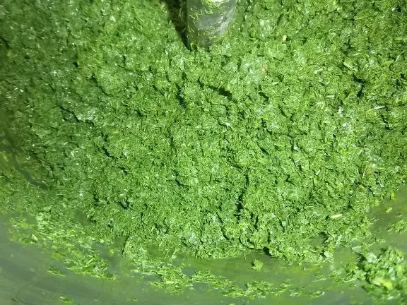 Best seller Frozen Cassava Leaf/ Frozen Pondu  Premium Grade from Vietnam/ Ms.Alice (+84 904 183 651)