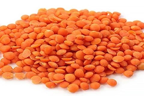 New Arrival masoor dal(red lentils) In Stock