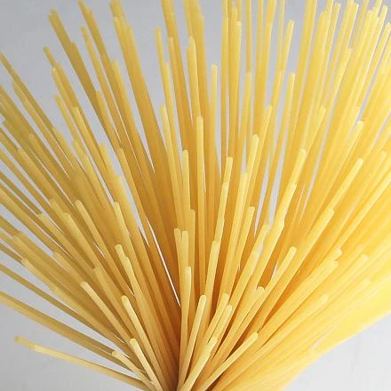 PASTA VIVA BRAND SPAGHETTI FROM TURKEY HALAL