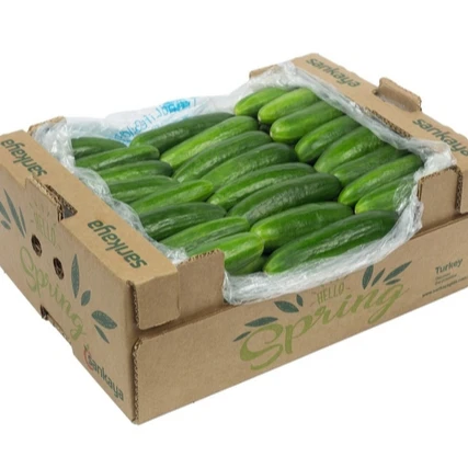 Fresh Cucumber