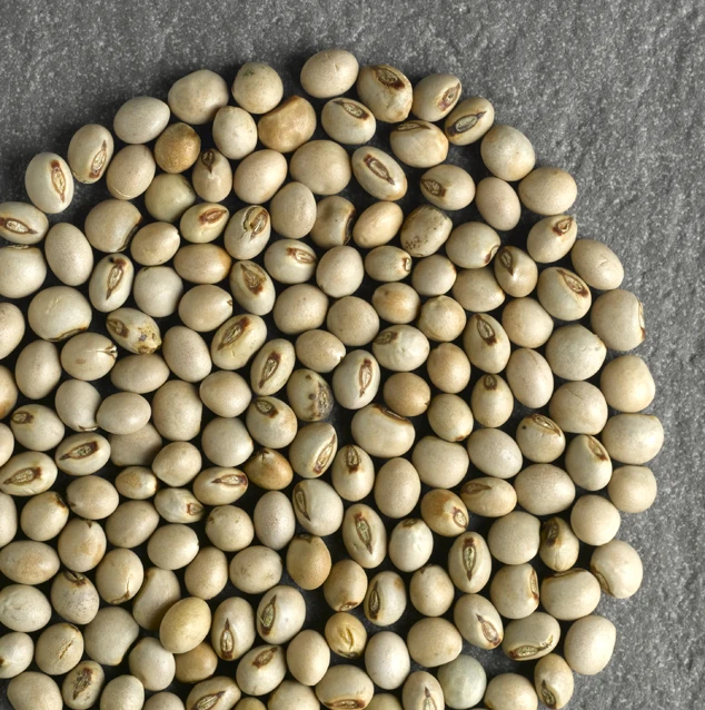 Toor Dal (Tur Dal) / Split Pigeon Peas