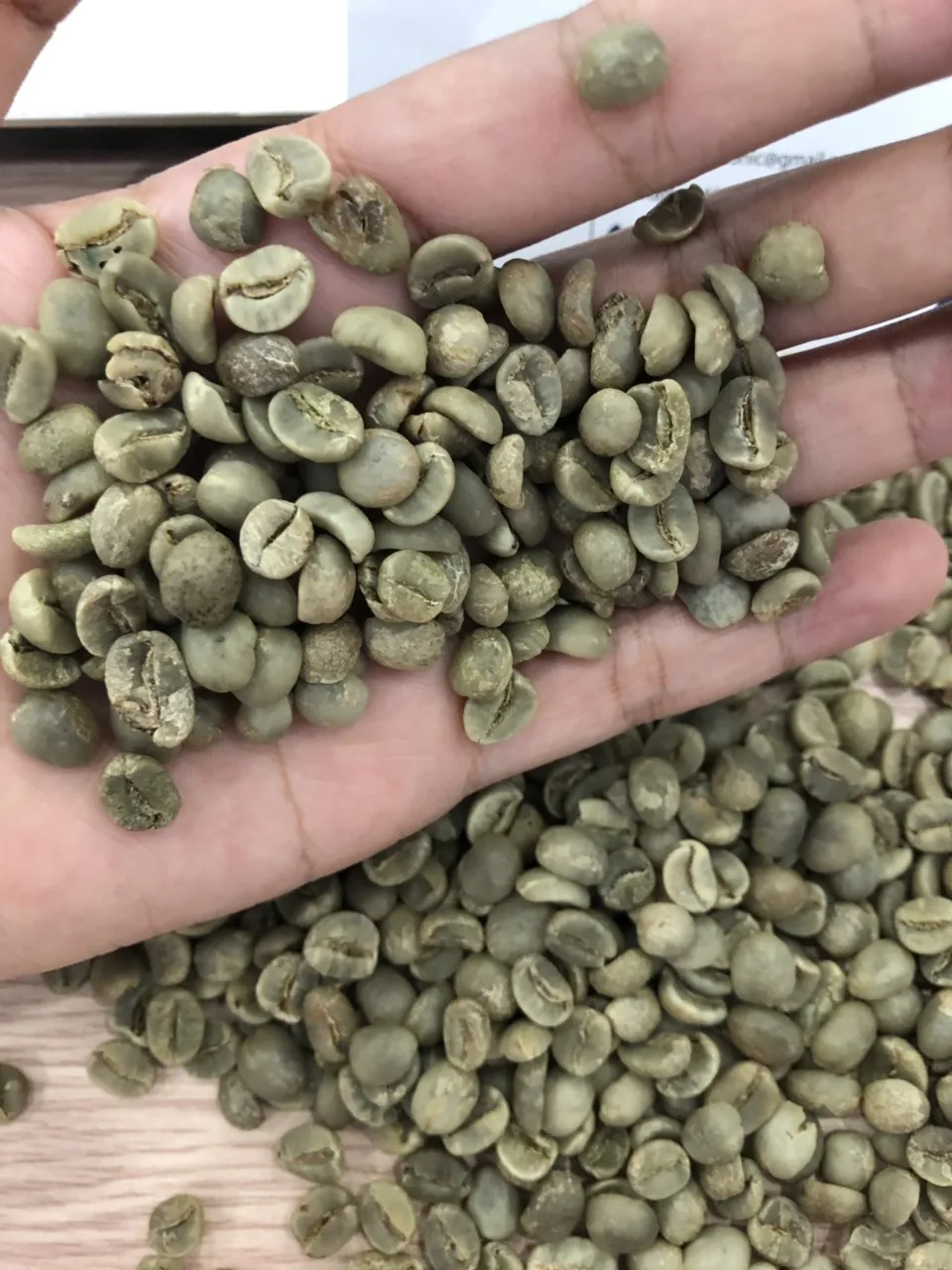 
Coffee Luwak, Vietnam Arabica Robusta exporter for Senegal, Korea 