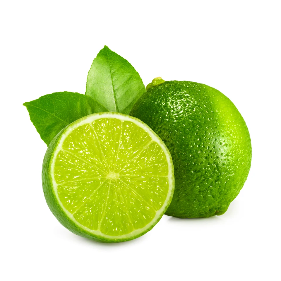 Fresh Seedless Lime from Vietnam - High Quality Product/ Best Price in the Market