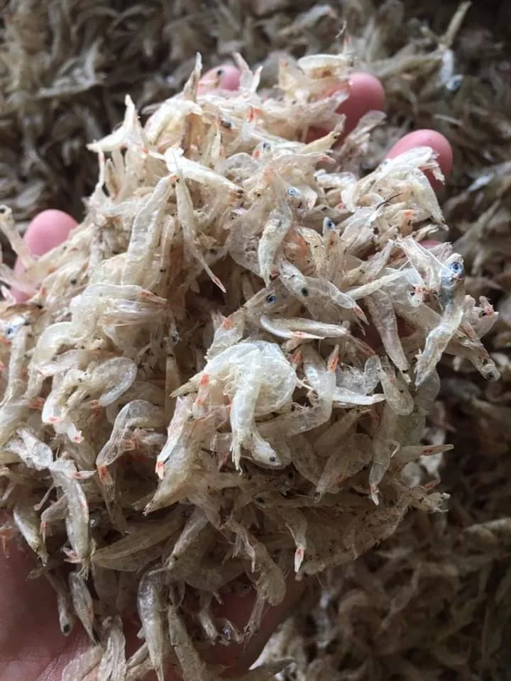 Детские Маленькие Креветки высушенные из Вьетнама сертифицированные Nafiqa-W/S: 0084 989 322 607