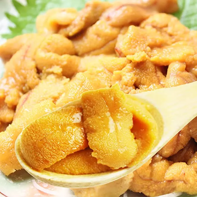 Замороженный питательный морской урчин для продажи по низкой цене