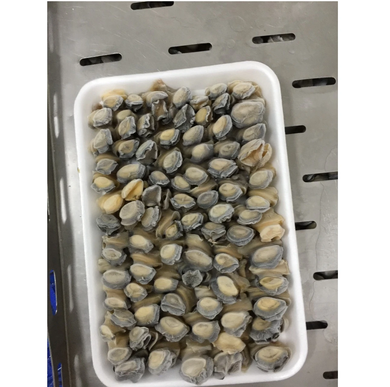 Wholesale Apple snail Golden snail frozen/Fresh Frozen Moon Apple Snail Meat With Best Price from Viet Nam