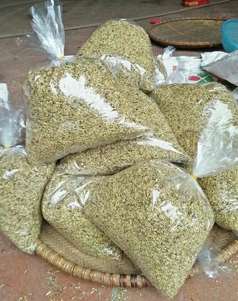 Натуральные сухие бутоны Sophora Japonica лучшие травы для здоровья цветы по хорошей цене Ms. Люси + 84 929 397 651