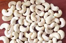 
High Quality VIETGAP Certification Grade 1 Organic Blended Fresh Cashew nut From Vietnam 
