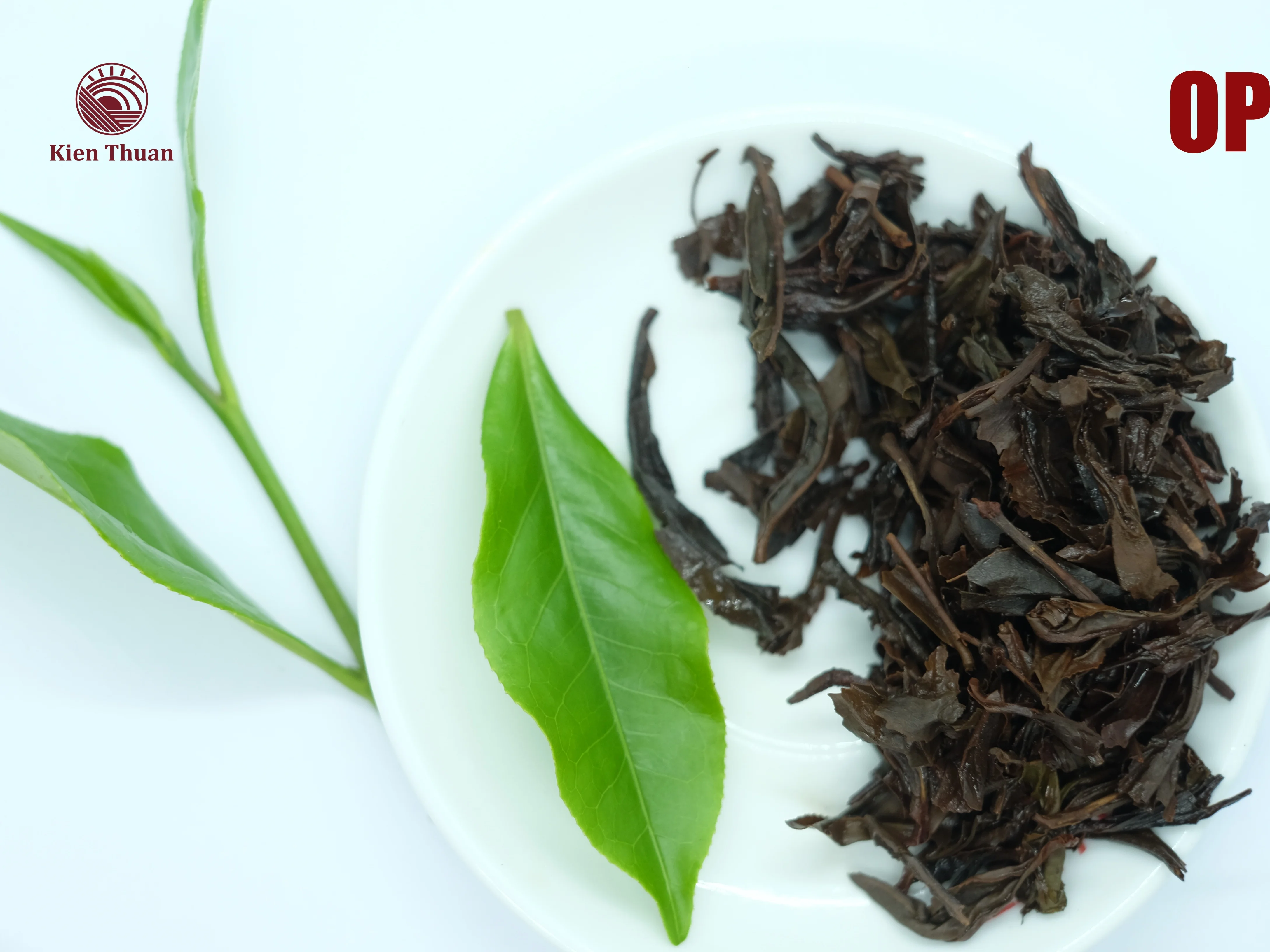 
Tea Manufacturer offering the best quality and long-lasting aroma with competitive price Black Tea OP 