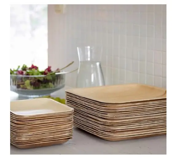 
100% натуральные листовые пластины Areca, производители в Индии 