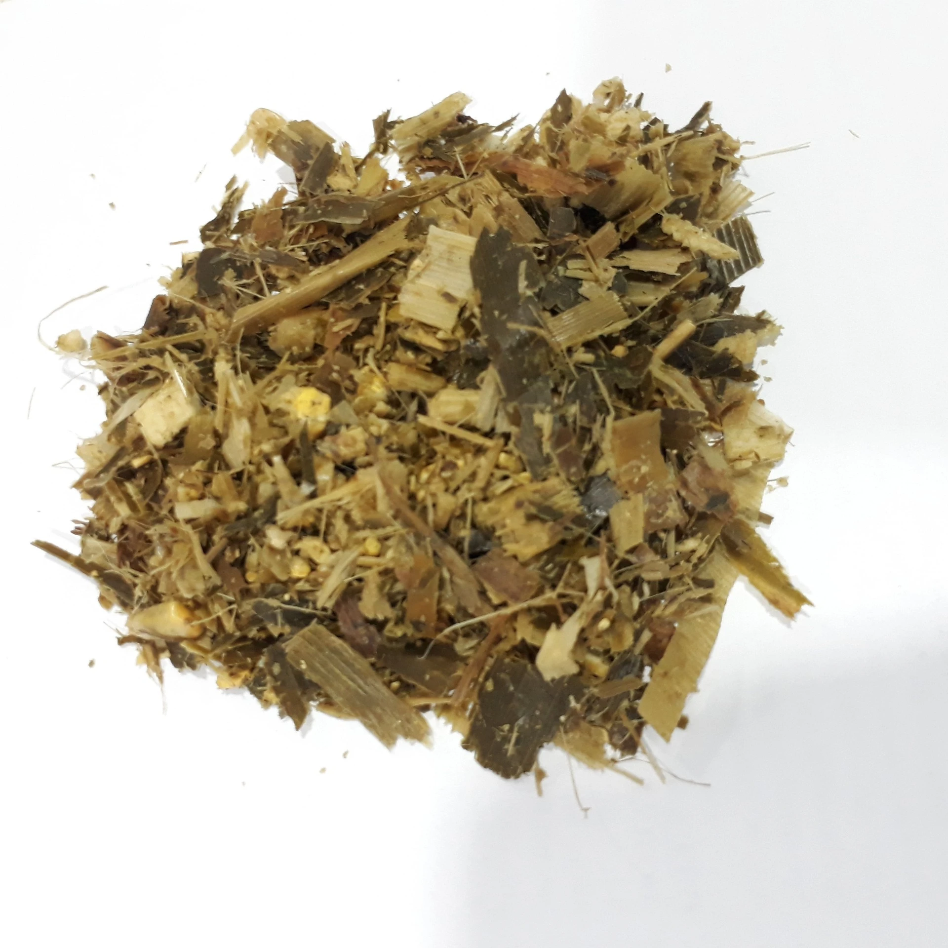 Corn silage for animal feed/ Corn silage top quality for sale made in Vietnam - Kotinochi brand