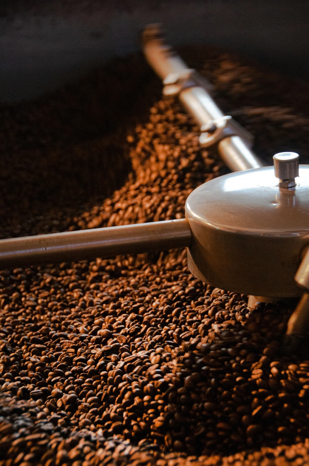 Strong flavour 250g roasted coffee beans bags and private label organic expresso roasting