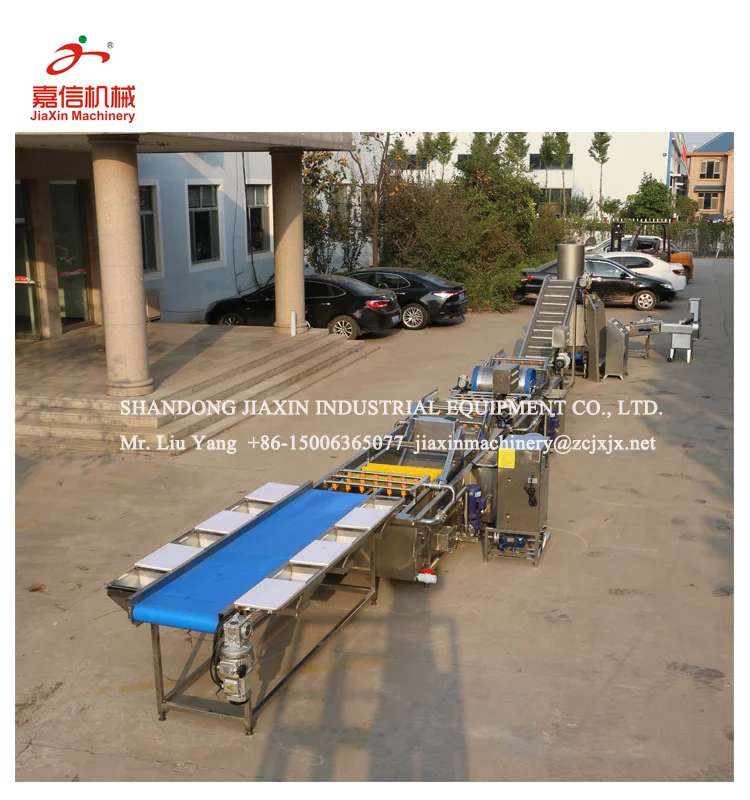 Hot sale fruit and vegetable washing equipment machine line