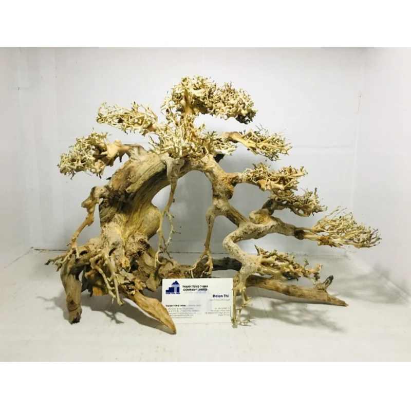 2024 Good Quality Bonsai Driftwood for Aquarium Decoration WhatsApp: +84 961005832
