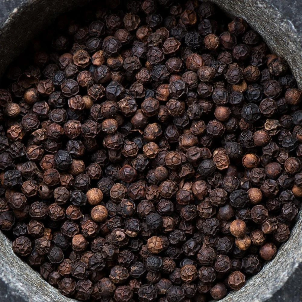 BLACK PEPPER 5MM NEW CROP 2023 BLACK PEPPER FROM VIETNAM