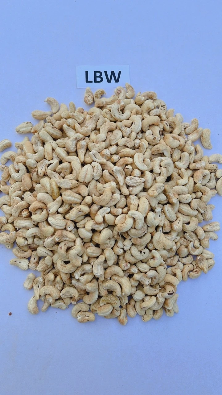 Wholesale vietnam cashew nut Roasted nuts snack bag cashew nut kernels w240 w450 w320 LBW