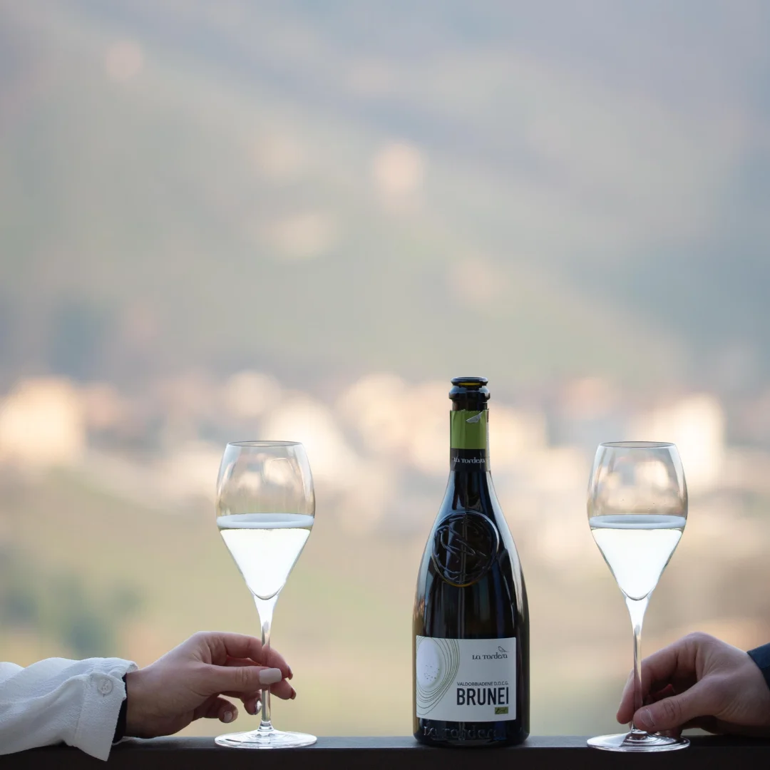 Brut 3lt Бруней превосходное игристое вино для тостов с Prosecco превосходное Valdobbiadene DOCG класс 11,5% алкоголя glera 2020