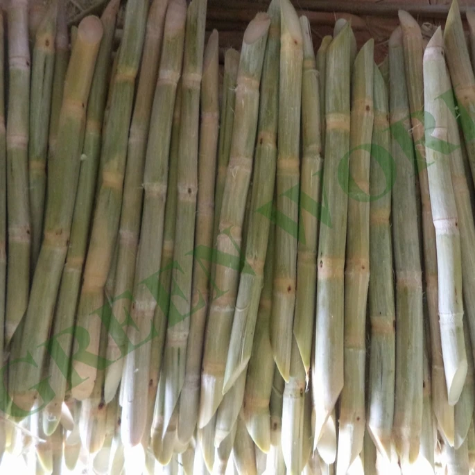 Замороженный сок сахарного тростника из Вьетнама по лучшей цене