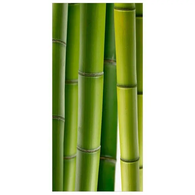 Натуральный бамбук/бамбуковый тростник из экологически чистого сада 99GD