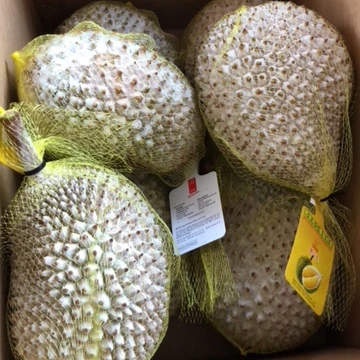 Malaysia fruits Premium frozen Mao Shan Wang Durian green skin golden yellow flesh d197 musang king