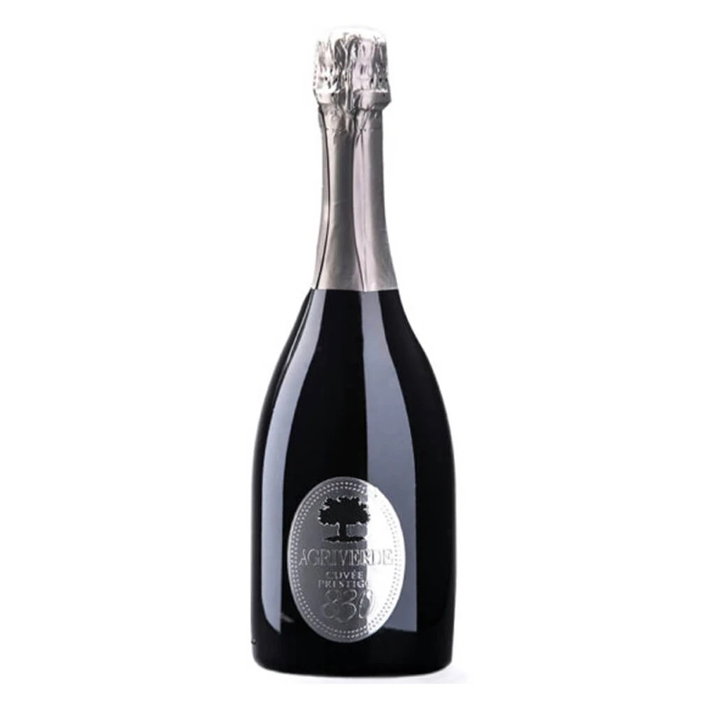 Top Quality Italian Sparkling White Wine Pecorino Brut Biological Ready For Export - Italy Wine