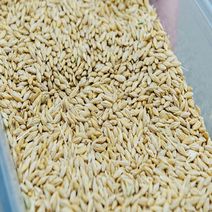 Продажа ячменных, пшеничных отрубей по доступной цене