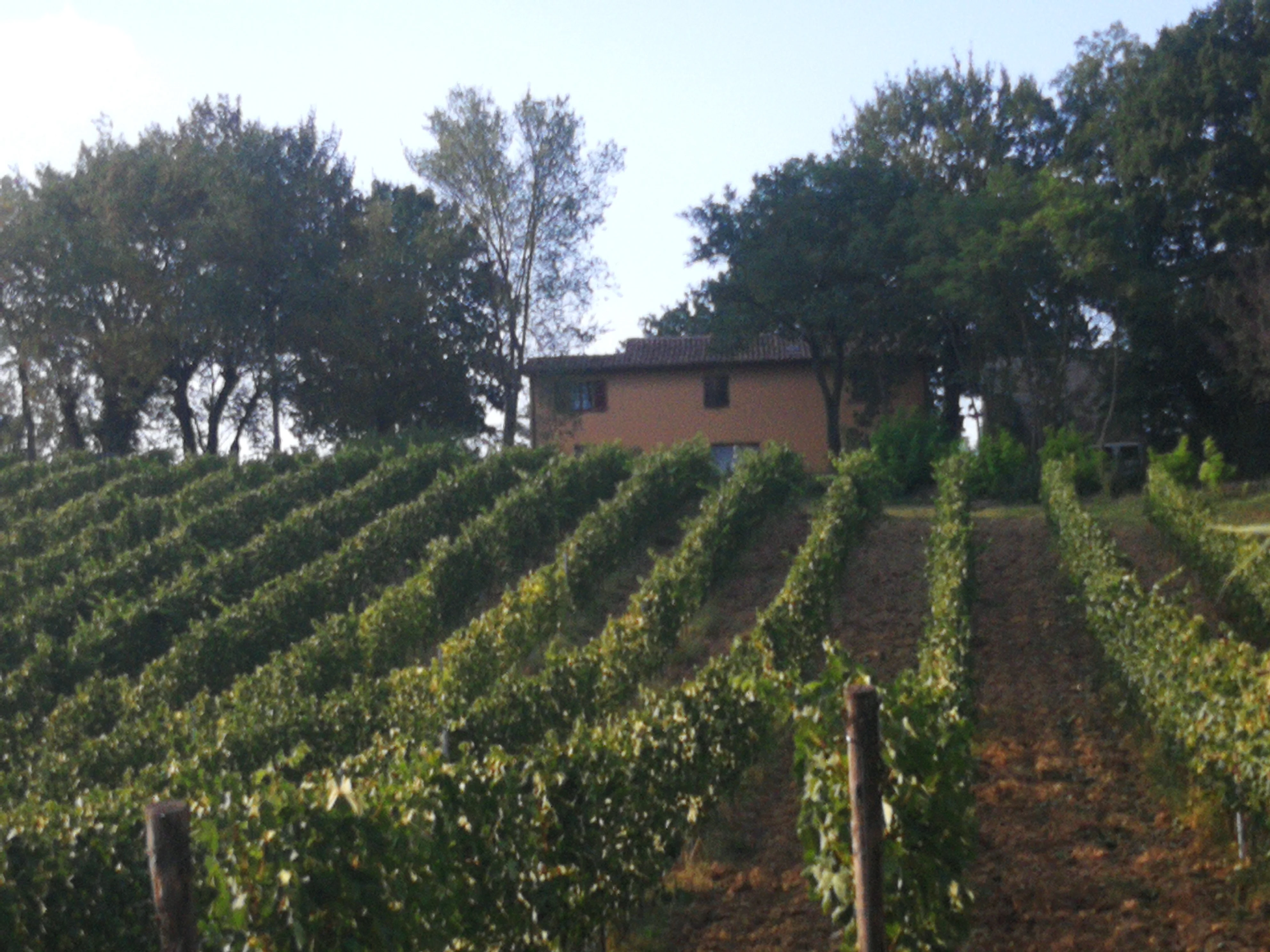 Итальянская подарочная упаковка для белого вина-вино сыр и мед