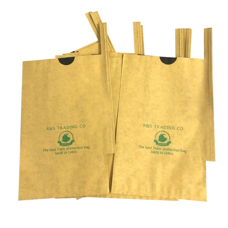 Manufacturer supply wholesale Bangladesh fruit paper bag mango growing bag fruit protection growing bag