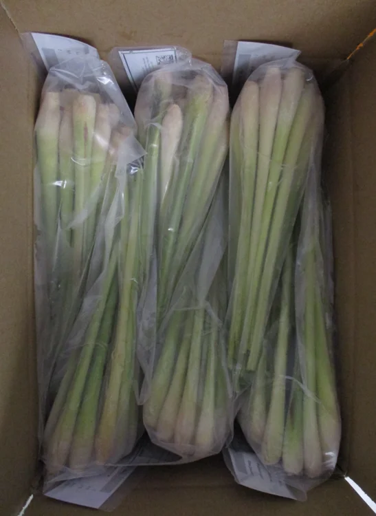 The Best Price With High Quality - Frozen Lemongrass Origin Vietnam Bulk Quantities Available For Export