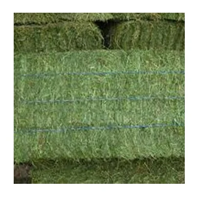 Original Ukraine ALFAFA HAY IN BALES TIMOTHY AND PELLETS for