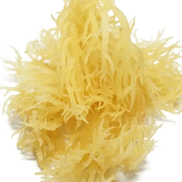 Айзермох из Вьетнама по лучшей цене Ms Sofia + 84 789 946 878