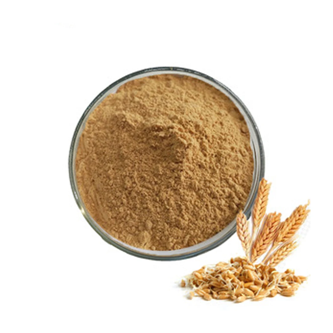 Reliable Indian Supplier of Wheatgerm Extract at Best Price