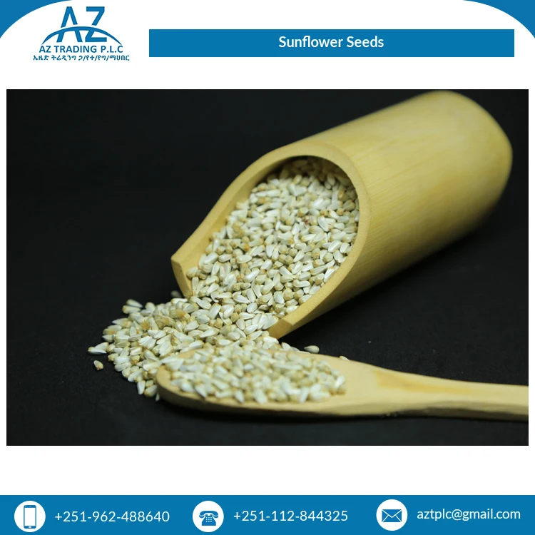 2021 Новое поступление сушеных семян подсолнечника для обычного культивирования оптом