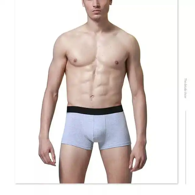 Sexy Men Underwear Boxer Brief Underwear Solid Soft Mid Rise Mesh Semi Transparent Thin Underpants All Sizes