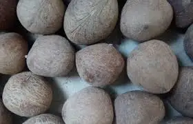 Распродажа в индийские сухие копра