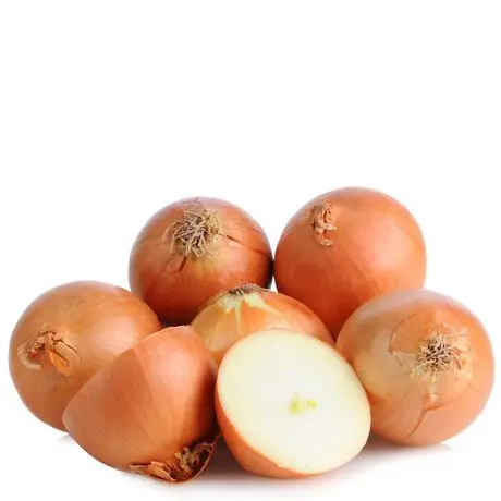Onions Price Ton New Crop 20kg/25kg per bag, 5-7cm/6-8cm / Big Onion for Export
