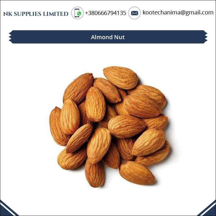 
Exceptional Quality Premium Roasted Almond Nuts from Genuine Ukraine Supplier 