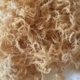 Оптовая продажа-100% натуральные водоросли/морской мох хлопок для здоровья из вьетнама/Ms Fiona + 84 972 403