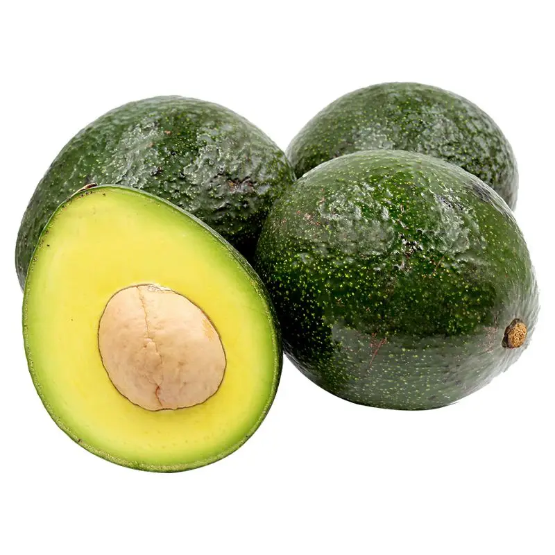 Wholesale price/cheap price Fresh Hass Avocado