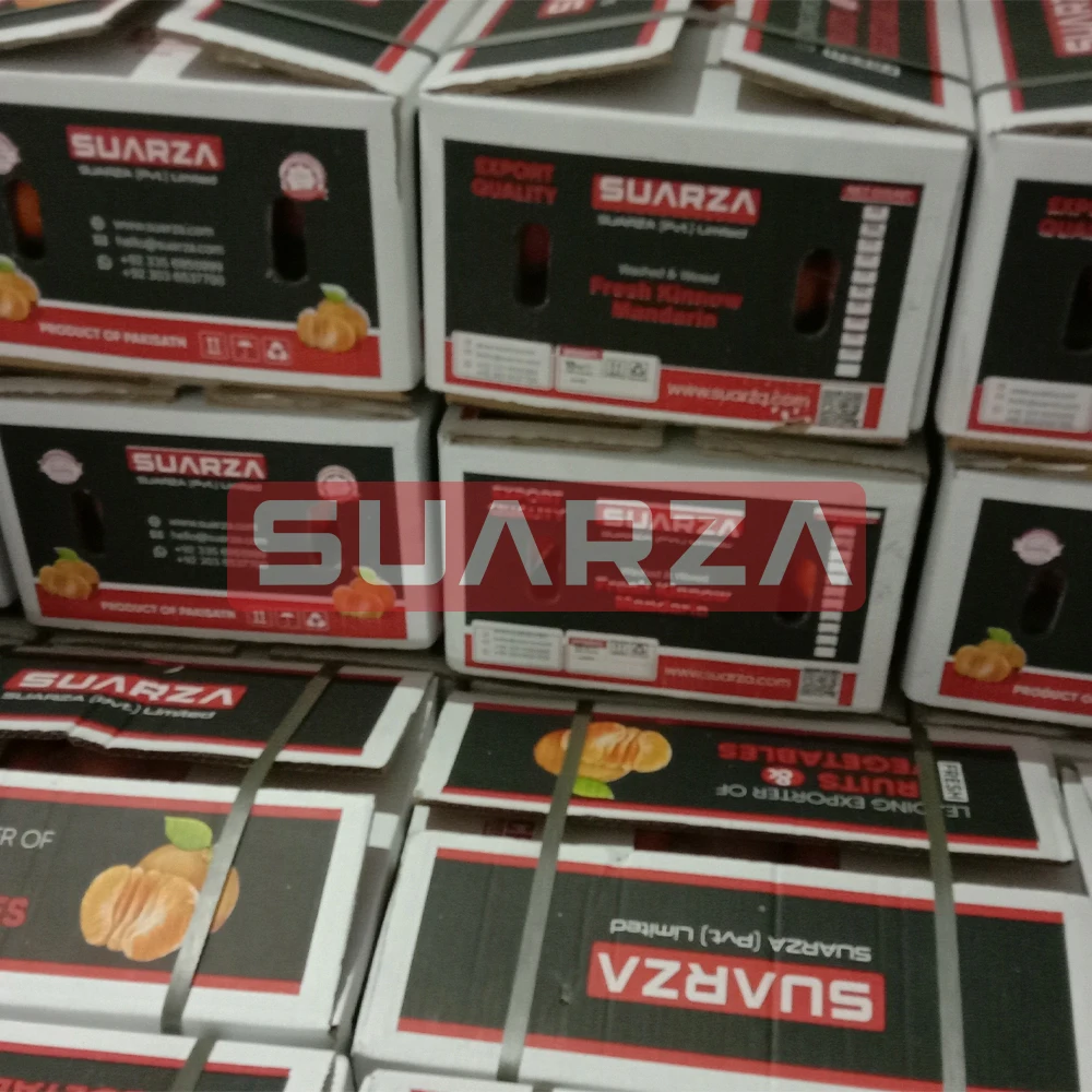 100% Fresh Mandarin Oranges (Kinnow Sargodha) Sweet And Juicy With Best Packaging, Competitive Pricing