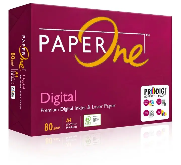 paperone 3.jpg