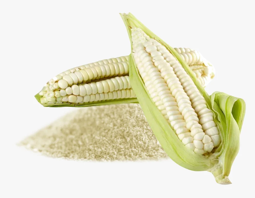 
50kg Bags White Corn 