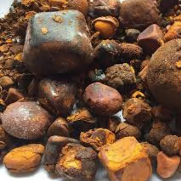 Quality Ox Gallstones Cattle Gallstones Cow Gallstones