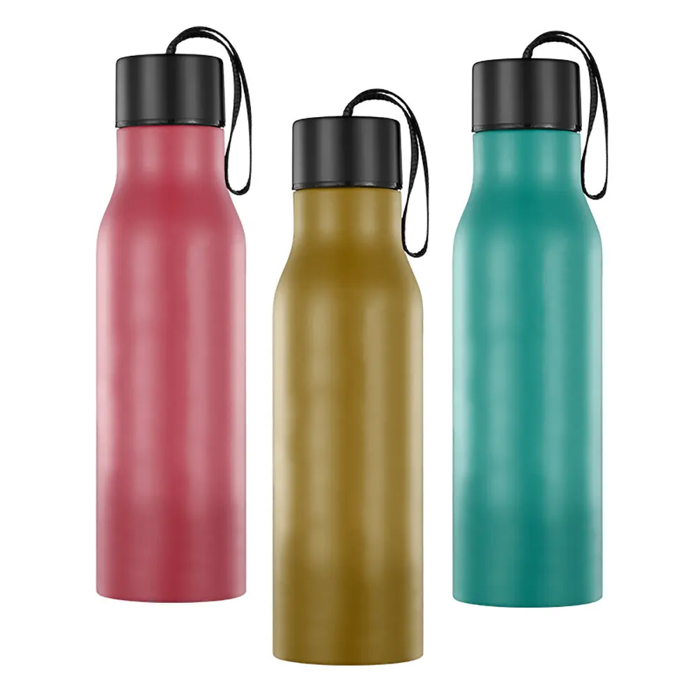 BPA-Free Stainless Steel Chameleon Water Bottle