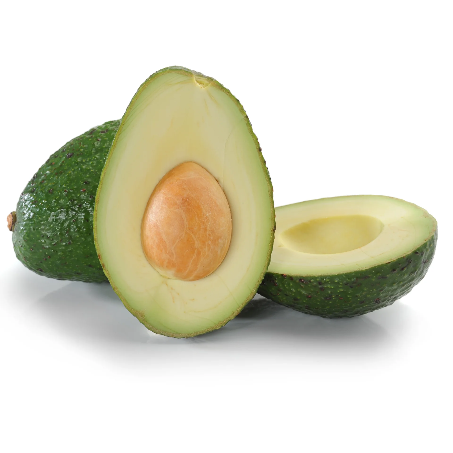 Avocado - High premium quality