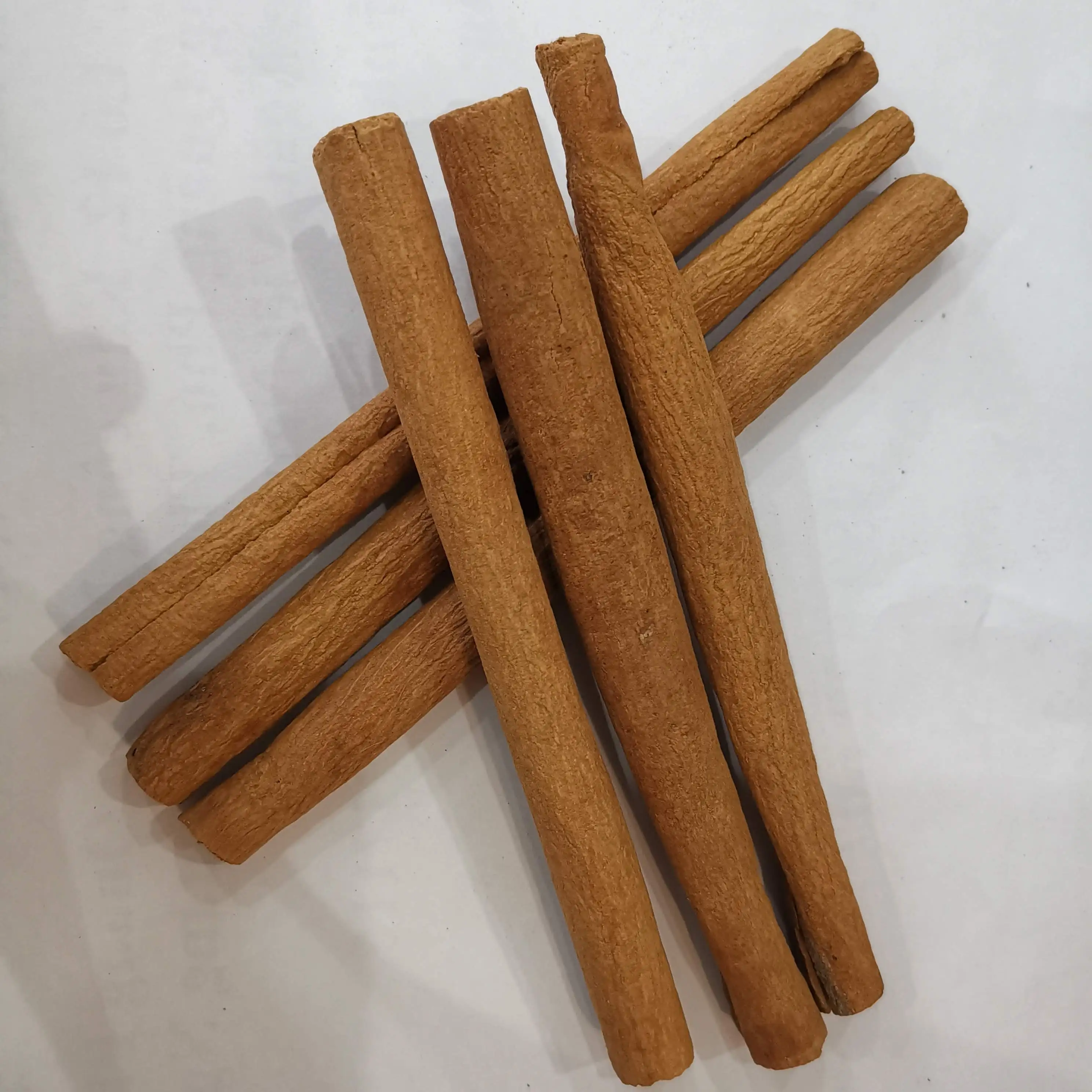 WS +84359166896 Stick Cassia from Vietnam in good condition with bargain price high quality ready to ship new crop best choice