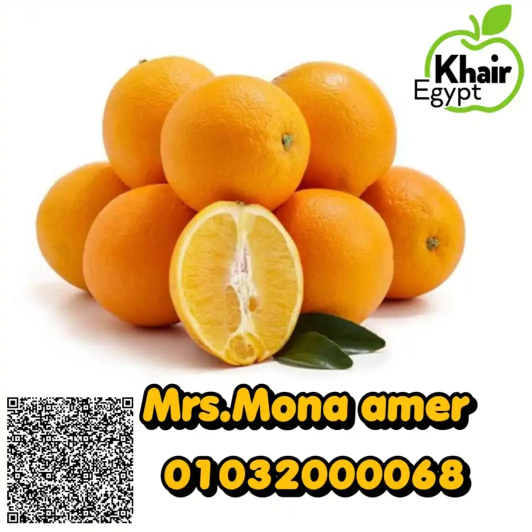 Organic Best Selling Super Fresh-Natural Ripe and Healthy Egyptian ORANGE CITRUS 2021