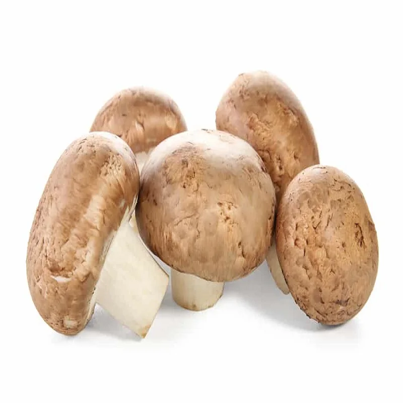 Mushrooms : Healthy rare edible Raw Brown 0.25kg 2-3cm Dried Mushroom